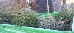 Christbaumentsorgung2 Christbaumentsorgung2